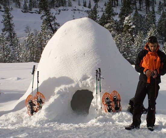 Resort Igloo Building Esquiades Com