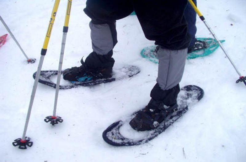 Actividades de Nieve en Andorra, Información general y estado de las Actividades de Nieve en Andorra, Información general y estado de las