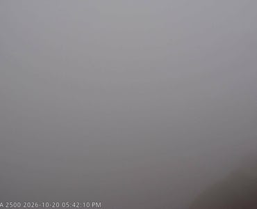 Webcam Argulls