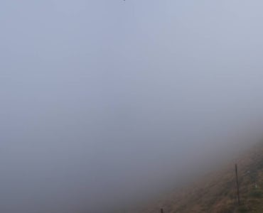 Webcam Belvedere