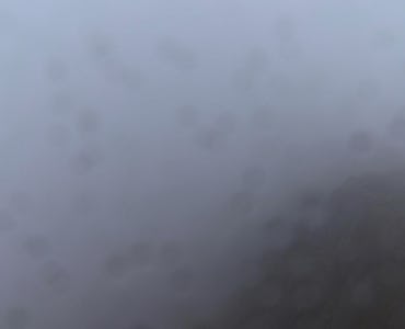Webcam Cap de Pales