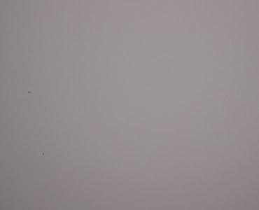 Webcam Ts du Rebenty
