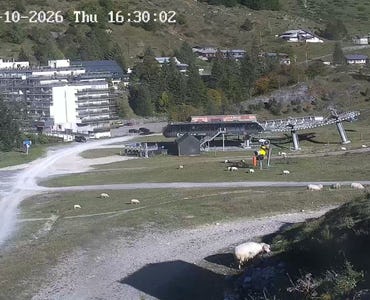 Webcam Village
