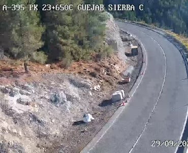 Webcam Tráfico - A395 PK 23,6 (1.700m)