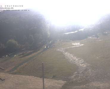 Webcam Mirlo Blanco