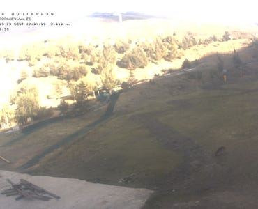 Webcam Mirlo Blanco
