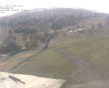 Webcam Mirlo Blanco