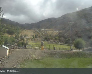 Webcam Mirlo Blanco - Zona de actividades