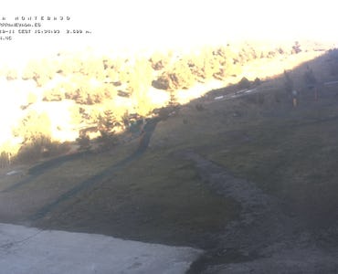 Webcam Mirlo Blanco