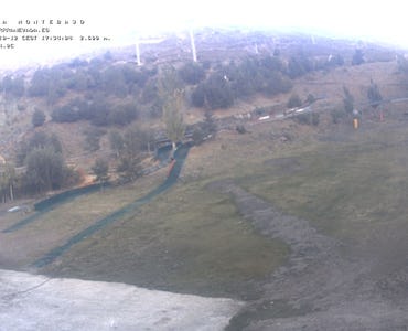 Webcam Mirlo Blanco