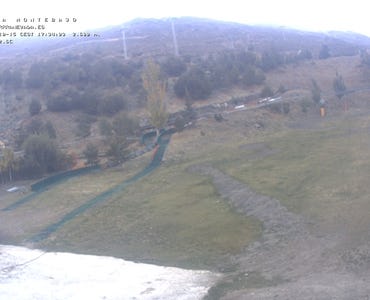 Webcam Mirlo Blanco
