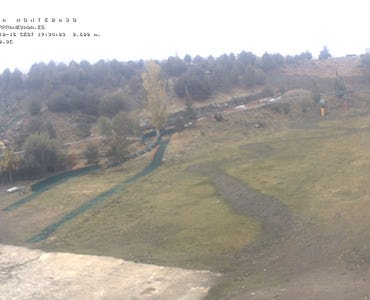 Webcam Mirlo Blanco