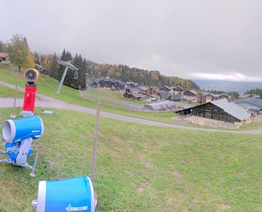 Webcam Morillon