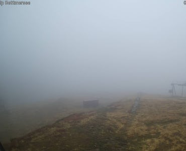 Webcam Bettmersee