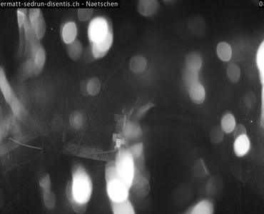 Webcam Mittelstation Nätschen