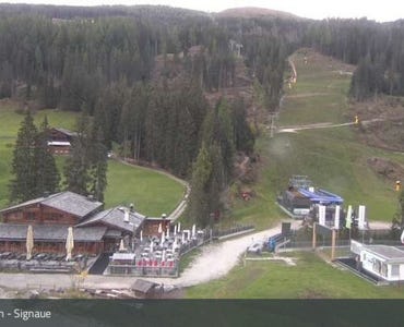 Webcam Signaue 1443