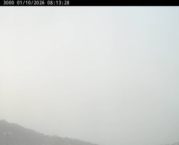 Webcam Presana 3000
