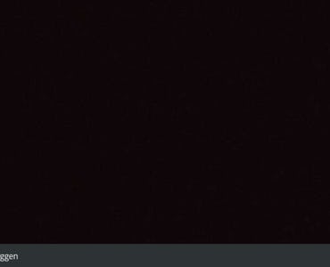 Webcam Laner 1830