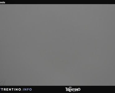 Webcam Malga Tognalo