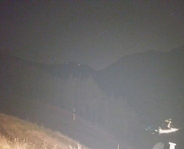 Webcam Tanne