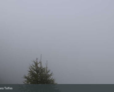 Schlick 2000 – Fulpmes - Webcam Krinnenkopf 2100