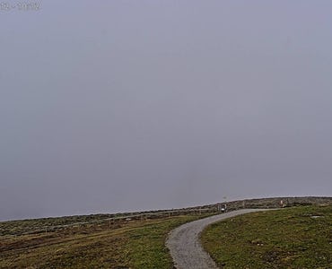 Rangger Köpfl – Oberperfuss - Webcam Loipe/Rodelbahn