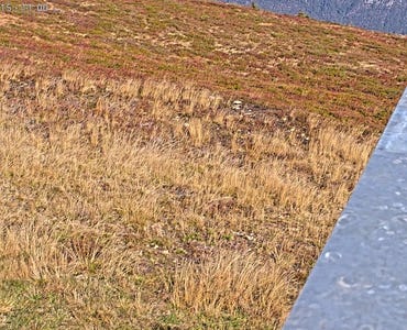 Rangger Köpfl – Oberperfuss - Webcam Rangger Köpfl/Seefeld