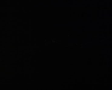 Webcam Auris/Signal de l'Homme