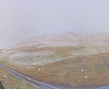 Webcam Les Merlans - Corneblanque