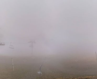 Webcam Bouleaux - Panoramique