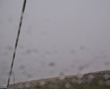 Webcam Bouleaux