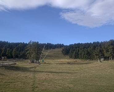 Webcam Font Romeu - Les Airelles